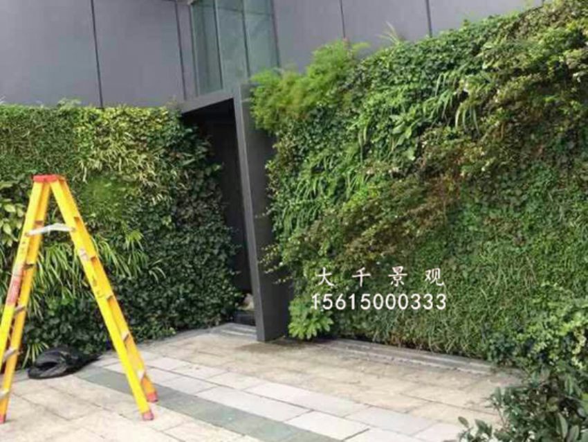 點擊查看詳細信息<br>標題：綠植墻 閱讀次數：1623