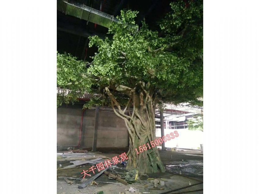 點擊查看詳細信息<br>標題：假樹 閱讀次數：2426